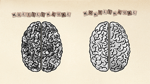 Beneficios de un cerebro multilingual
